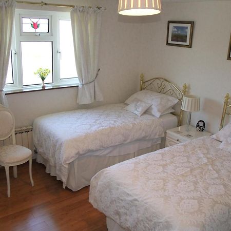 Bed and Breakfast Erw-Lon Farm Pontfaen Habitación foto