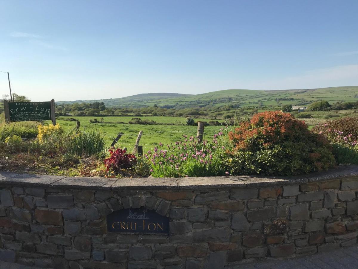 Bed and Breakfast Erw-Lon Farm Pontfaen Exterior foto